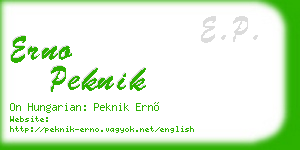 erno peknik business card